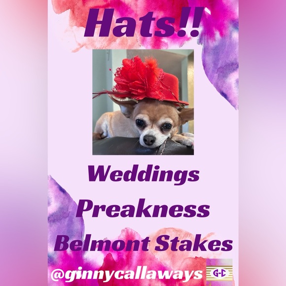 Like to be notified of @ginnycallaways shows - Picture 3 of 7